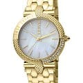 Just Cavalli Just Cavalli JC1L105M0085  JC1L105M0085 кварцевые женские часы  перламутровый циферблат, браслет сталь c pvd покрытием — вид спереди