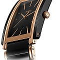 Rado Rado Integral R20962152, integral швейцария мужские часы на браслете сталь + pvd + керамика боковой вид