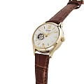Оригинальные часы Orient Orient RA-AG0024S механические калибр механизма  общий вид