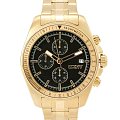 Часы DKNY Central Park Chrono DK1G049M0065