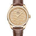 Omega 22058342099008